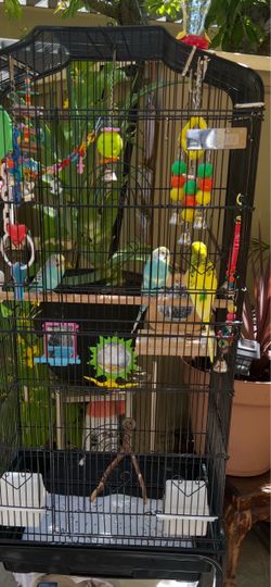 Birdcage