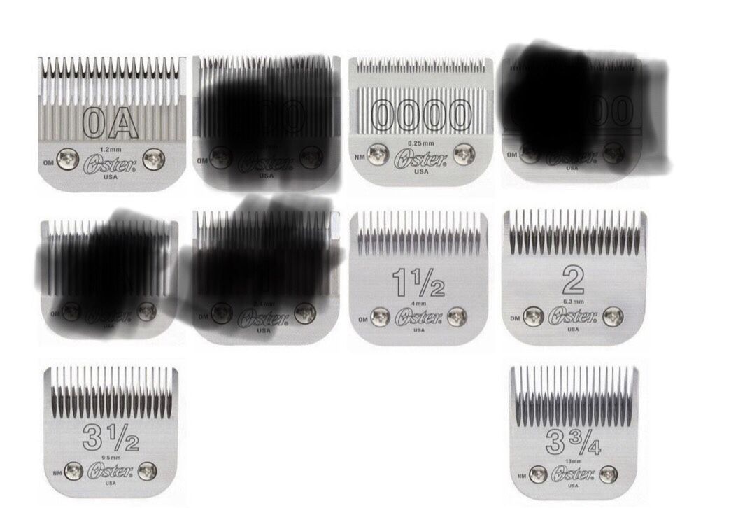 Oster Detachable Clipper Blades