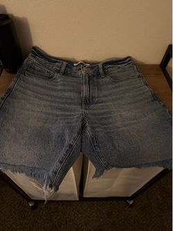 Pacsun Men’s jorts
