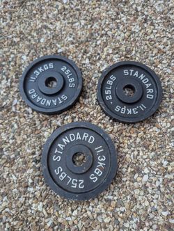 Rep Fitness 25 Lb Cast Iron Plates