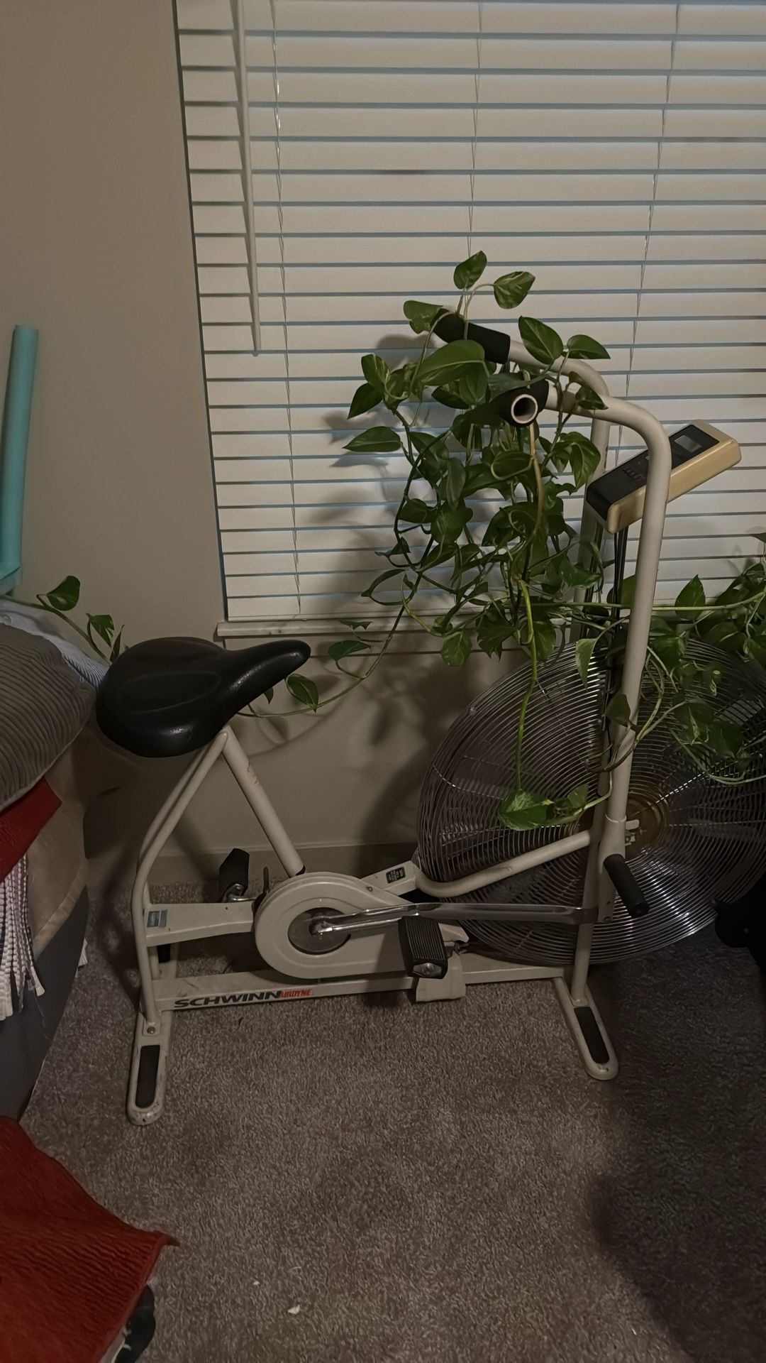 Schwinn Airdyne exercise bike, Model AD7