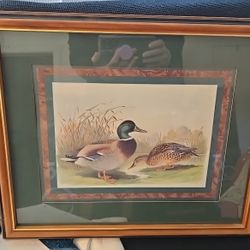 Vtg. Ducks Sitting By Water & Field Picture 17 1/2" X 15" Pressed Wooden Frame Used