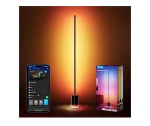 Govee Floor Lamp 2