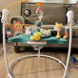 Baby Bouncer 