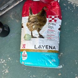 Free Bag Of Chicken Feed Layer Crumbles