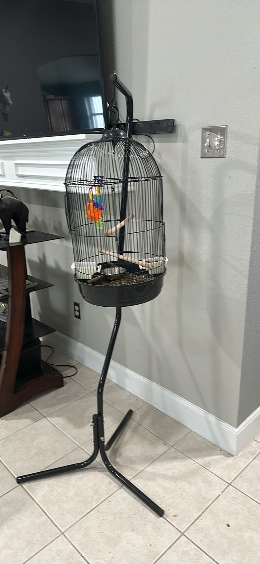Bird Cage Solo Jaula 