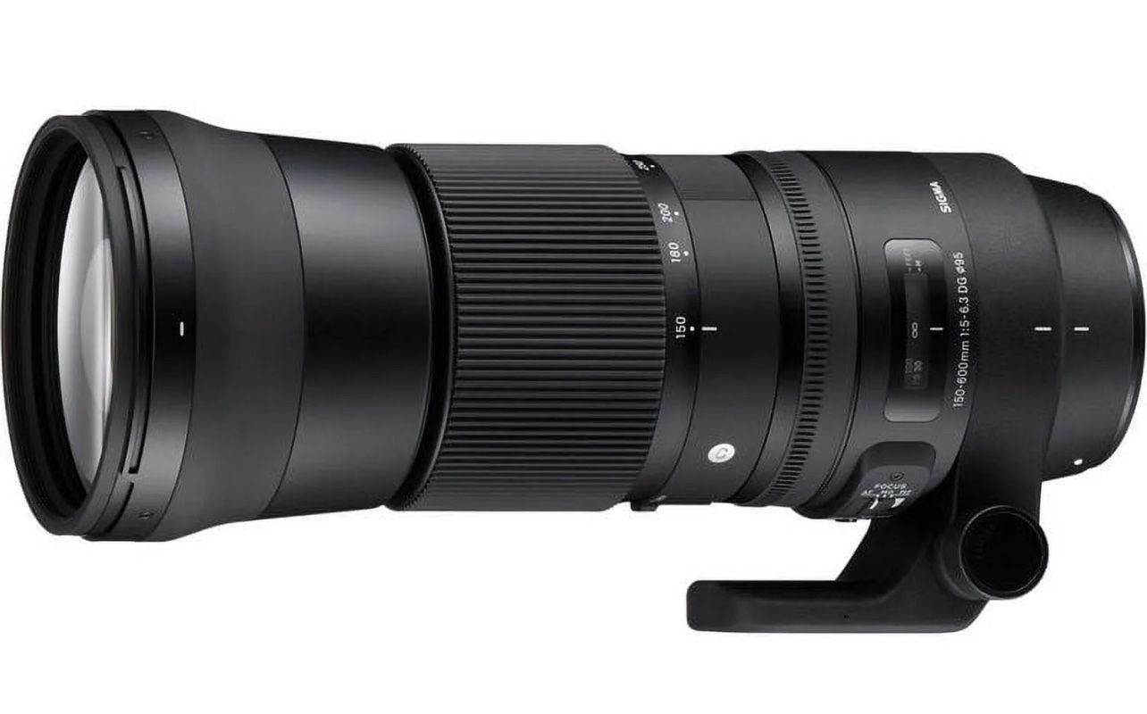 Sigma 150-600mm Lens Contemporary