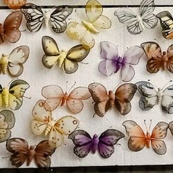 Butterflies