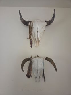 Southwestern wall hangings skull decor