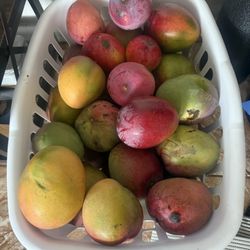Sweet Organic Mangos 