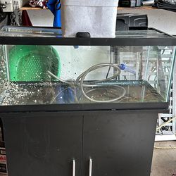 20 gallon long fish tank