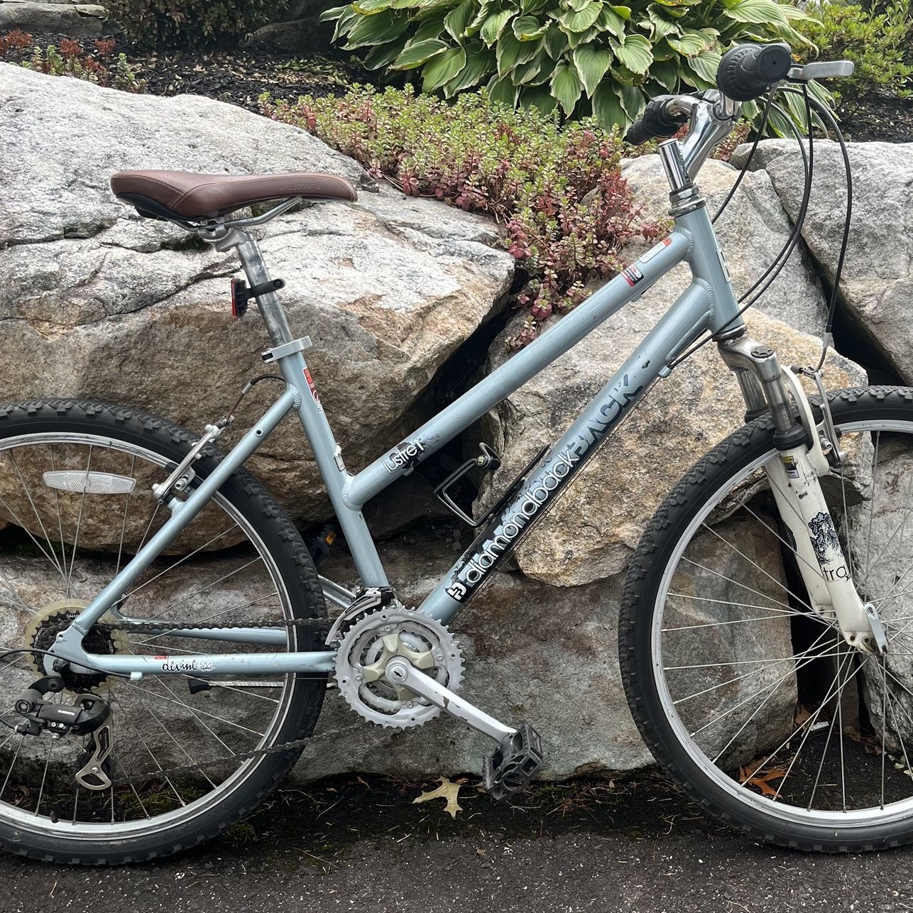 diamondback lustre schwinn diamondback