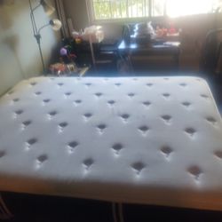 La Cama Está En Muy Buenas Condiciones 