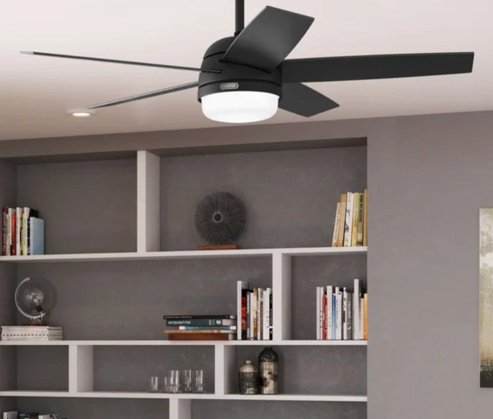 Hunter Asheville 52” Ceiling Fan – Indoor / Outdoor