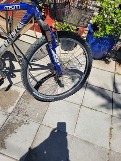 Trek bike