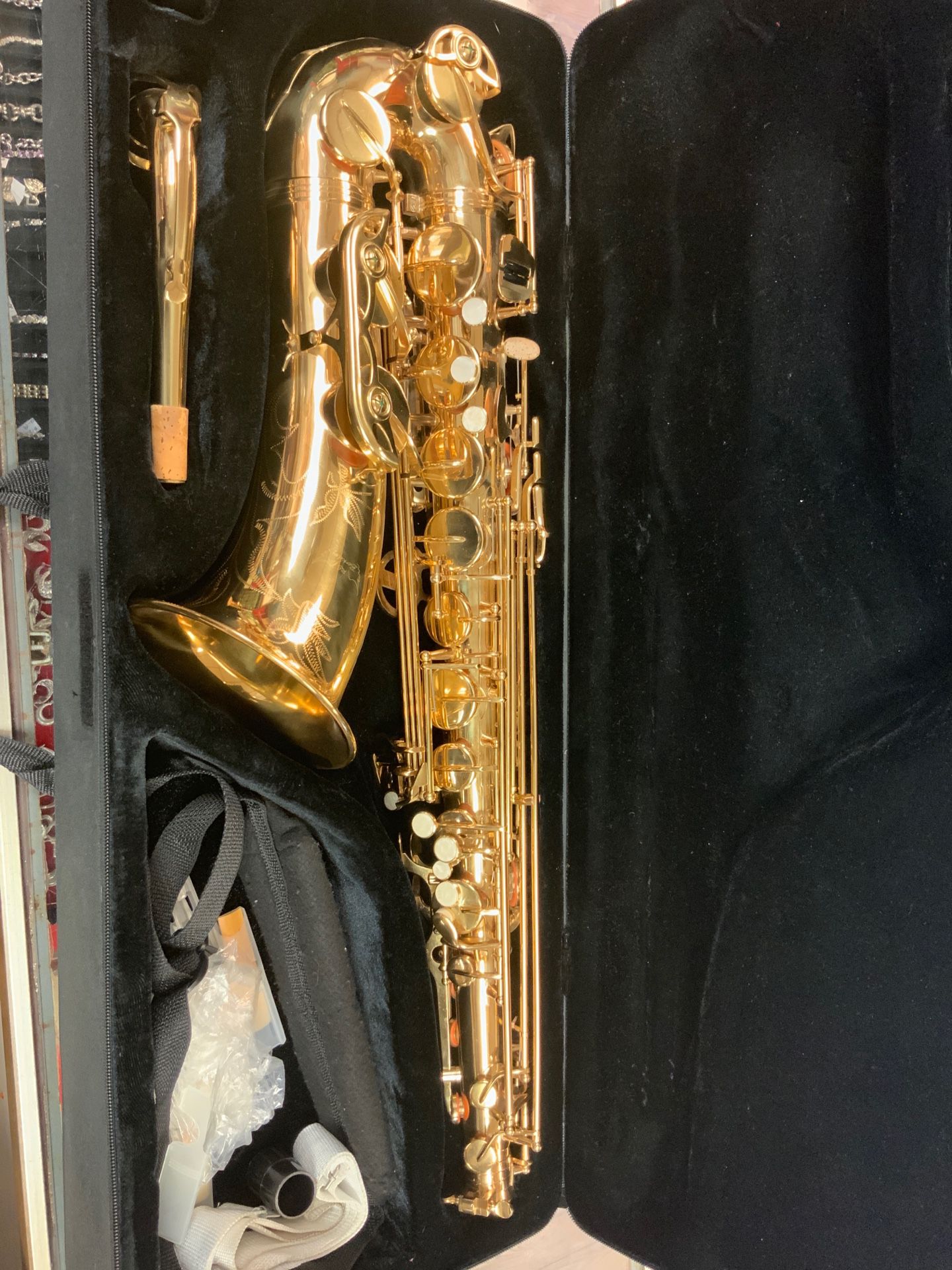 Sri Berkeley tenor series alto saxophone case