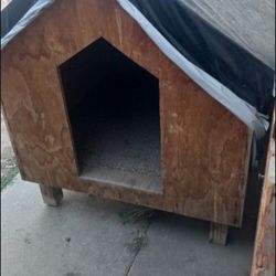 Dog House 