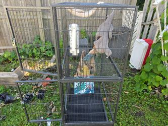 Ferret/Small Animal Cage