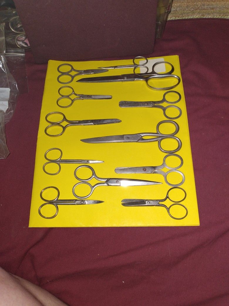 Lot B: Scissors 