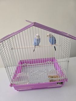 For sale