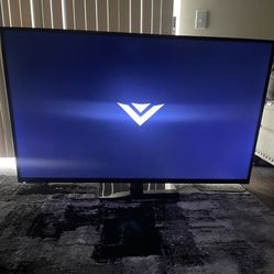 65in Vizio flatscreen Smart TV 