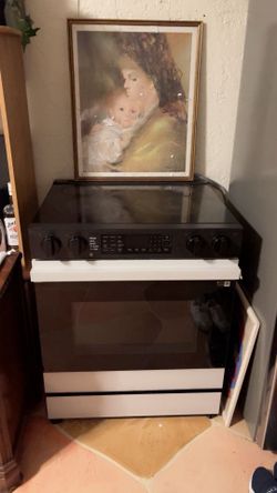 Smart Samsung Electric Range in Stainless Steel