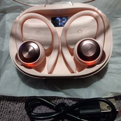 Brand New Ear Buds Never Used 