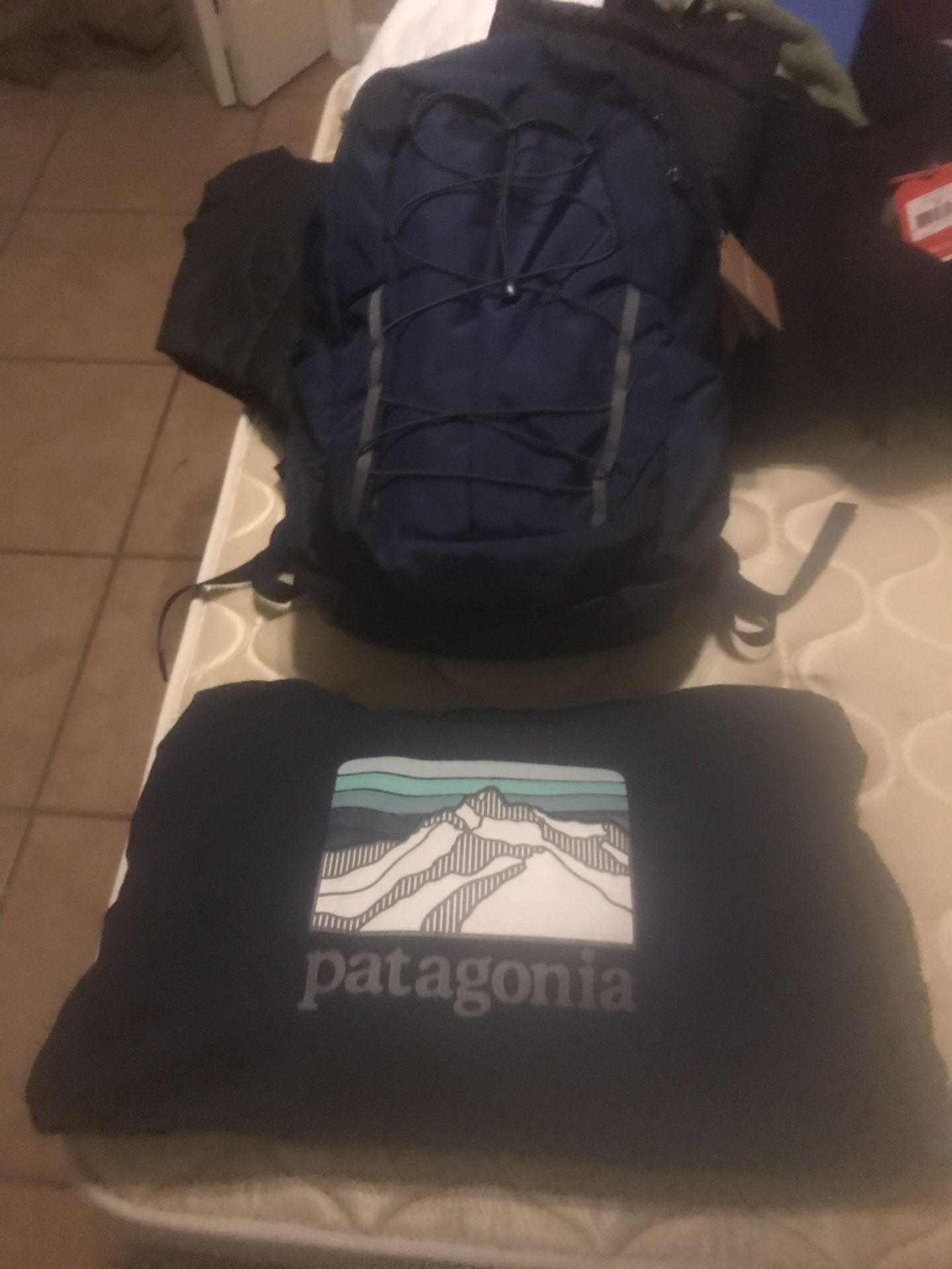 Brand new Patagonia back pack with matching hood has tags MSRP 200$