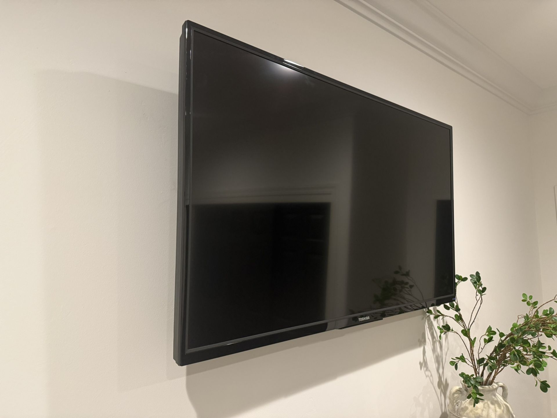 Toshiba 55” Smart TV