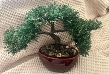 Bonsai tree