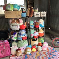50+ Squishmallows! Big And Small!