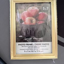 Home Decor Bundle – Disney Little Mermaid Coasters, Faux Flower, Gold Frame