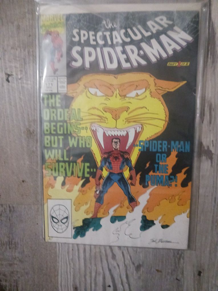 The Spectacular Spiderman #171