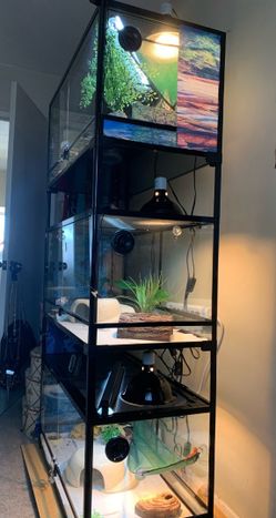 Reptile tanks stackable terrarium