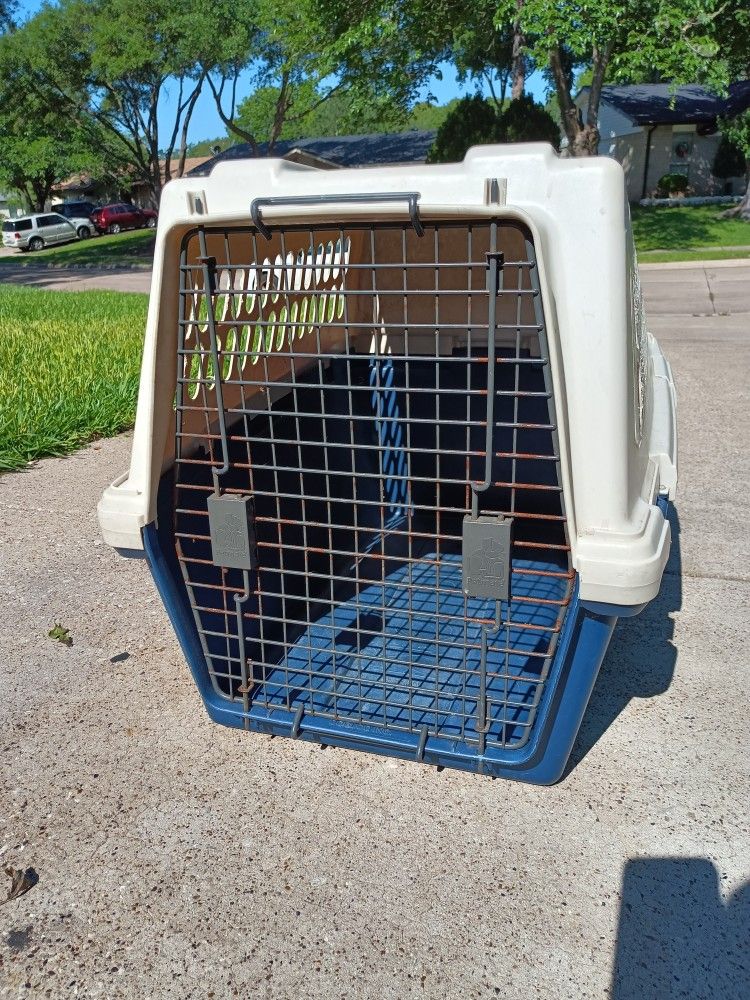 Dog Cage 