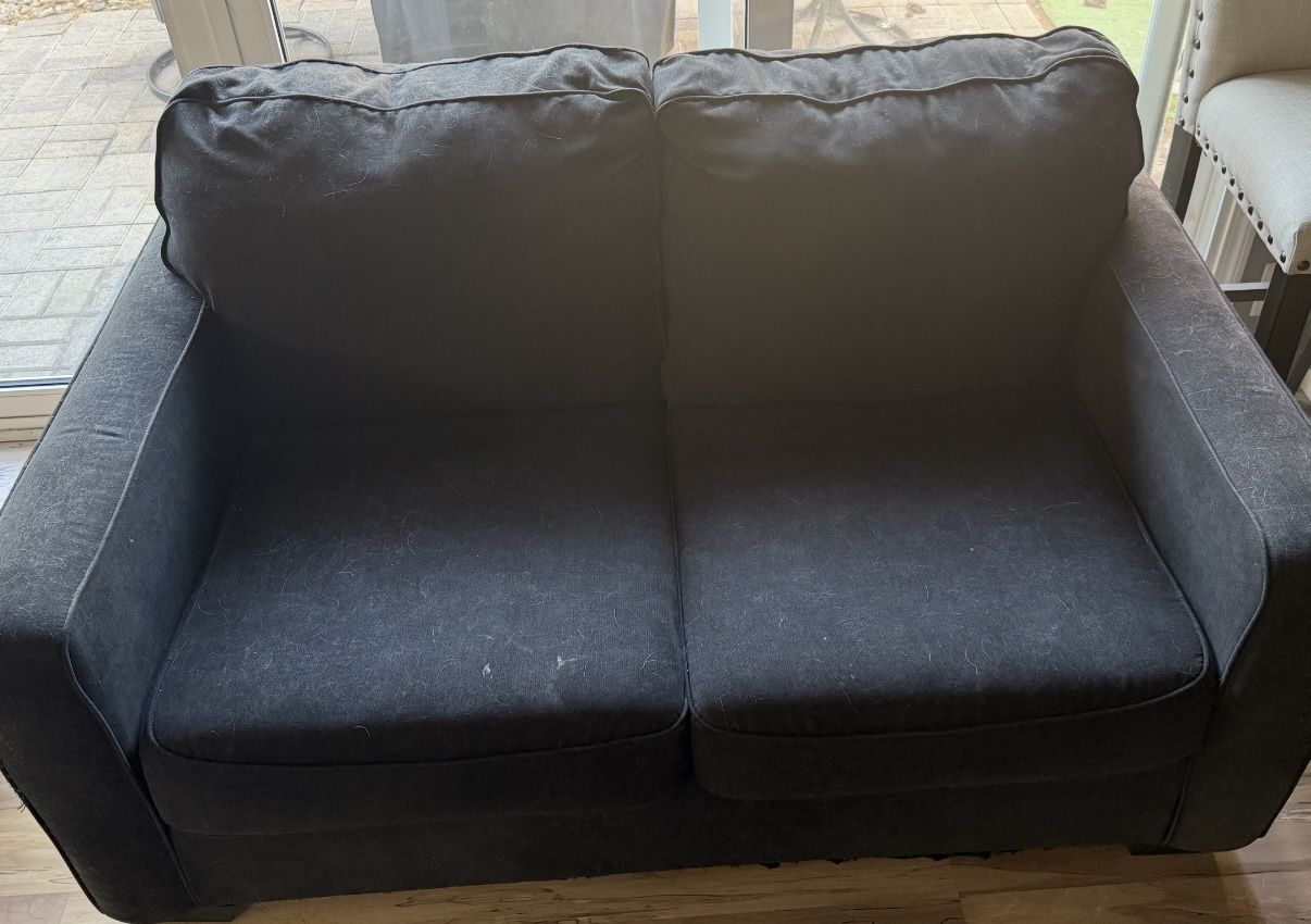 Sofa/ Couch / Love Seat 