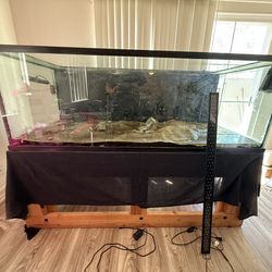 240 Gallon fish tank with stand (READ DESCRIPTION)