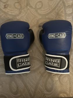 Ring To Cage Boxing Gloves