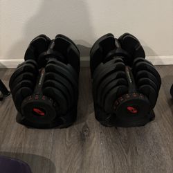 Bowflex Adjustable Weights 