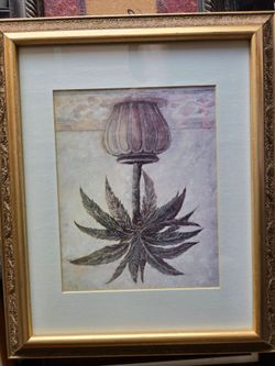 Pictures with frame