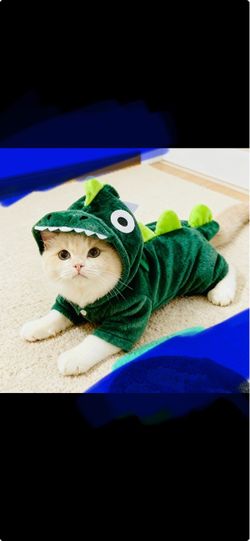 Halloween Pet costume Dinosaur 🦖