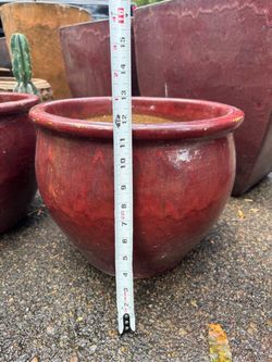 Planter pots