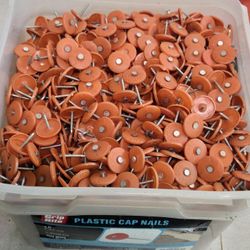 Grip-Rite  Cap Roofing Nail 