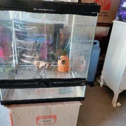 30 Gallon Terrarium 
