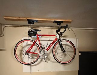 Lemond Cyclists Bicycle  “Alpe D'Huez”