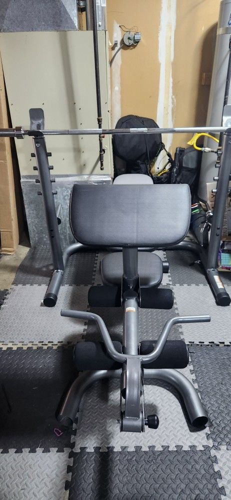 Weight Bench With Bicep Curl/Olympic Bar