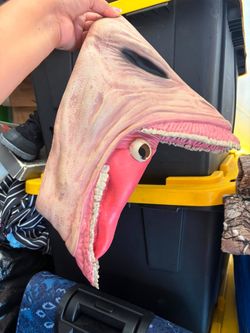 Beetle juice mask