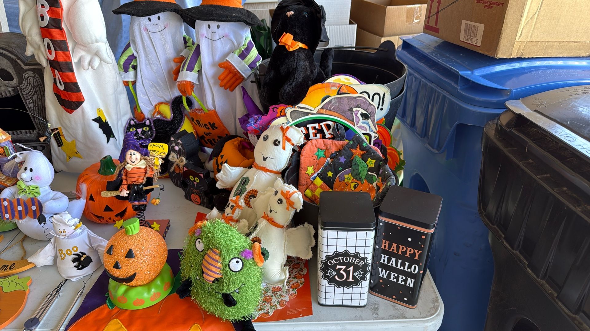 Halloween Decorations 