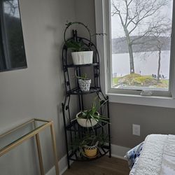 Drumraw plant stand
