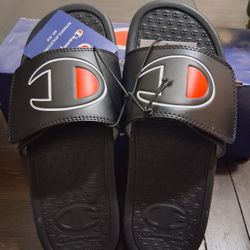 Champion Slides